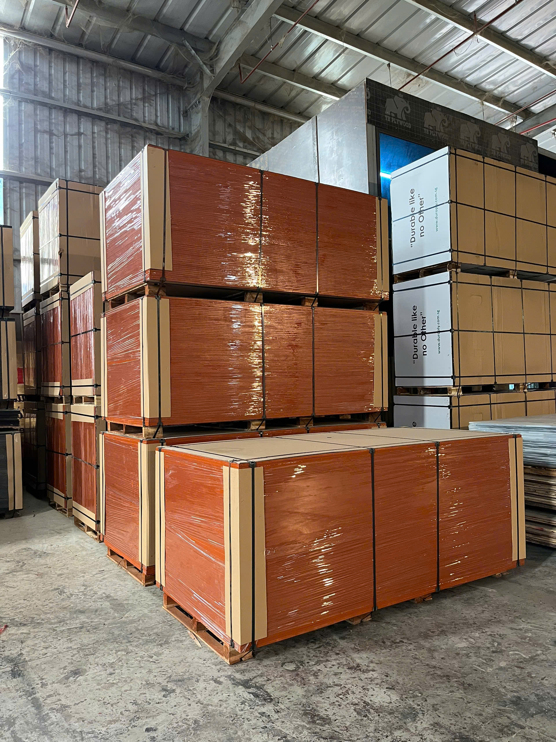 SINGLE FILM FACED PLYWOOD